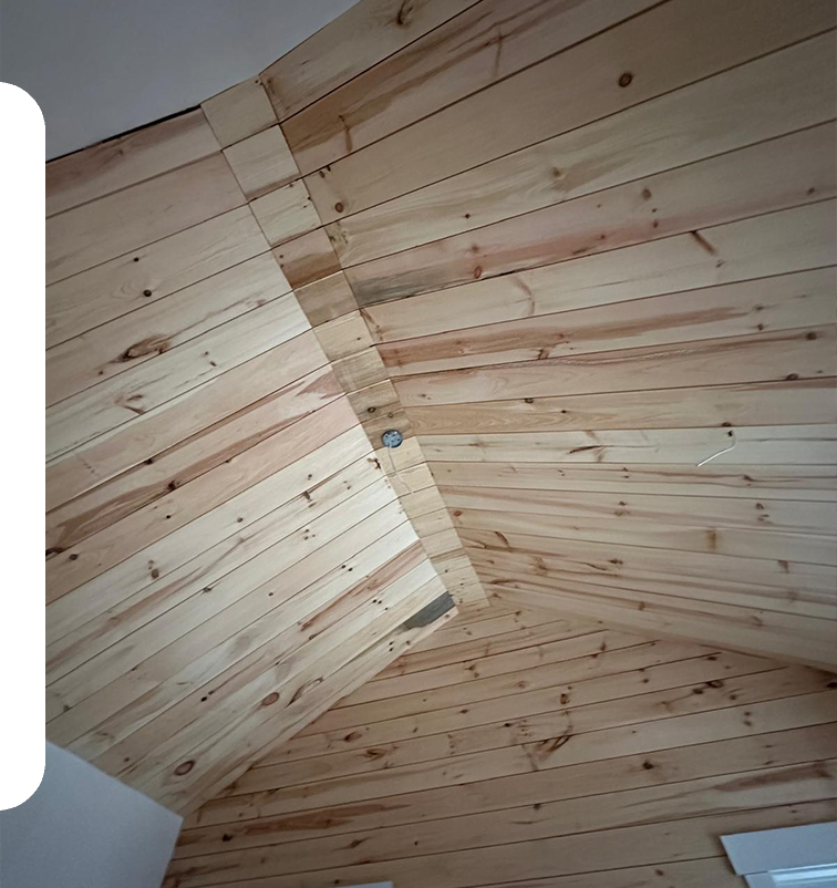 Expert Siding and Carpentry Services